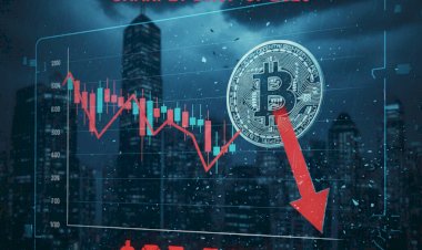 Crypto Markets in Freefall: Bitcoin Plunges Below $82,000 in Sharpest Drop of 2026