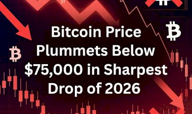 Bitcoin Price Plummets Below $75,000 in Sharpest Drop of 2026