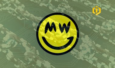 Deploying MimbleWimble Technology and Lightning Network in Litecoin Blockchain