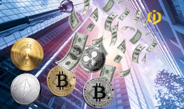How Will Crypto Finance Evolve in the Near Future as an Emerging Field?
