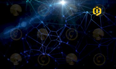 What Is DEX and Why You Should Choose Counos DEX?