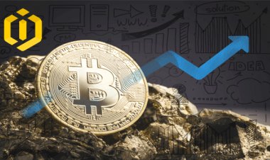 Mining Bitcoin Does Not Make Economic Sense