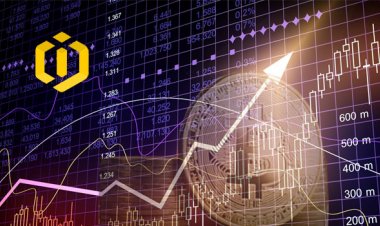 Will Cryptocurrencies Remain in Eternal Winter to Their Total Destruction?