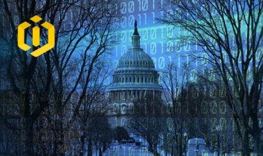Cryptocurrency Launched in the First Free from Government Town