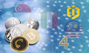 Blockchain and Cryptocurrency Regulations in Developed Countries with the Largest Crypto Markets