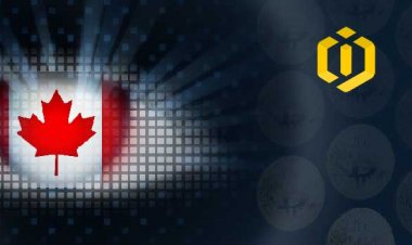 Bitcoin Investors Under Scrutinized Supervision of Canada’s Federal Tax Agency