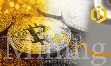 The Increase of Bitcoin Mining Profit Margin for the First Time Since 2017