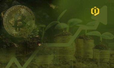 Will Bitcoin Bloom Again?