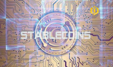 Stablecoins and Brilliant Future of their Developing Companies