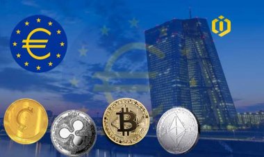European Central Bank and New Claims about Cryptocurrencies