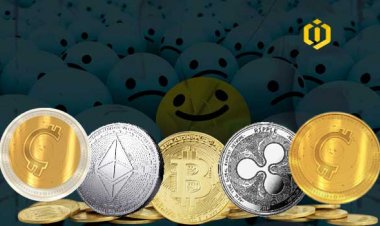 Increased Optimism among Blockchain and Cryptocurrency Users