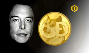 Do You Know Elon Musk’s Favorite Cryptocurrency?