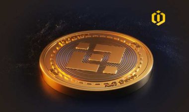 What is the Next Bitcoin in the World of Cryptocurrencies?