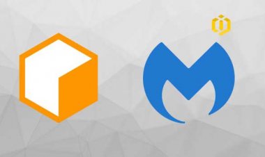 Decreasing Cryptojacking Following Coinhive Closure
