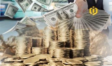 More than Half of the World Millionaires Will Invest in the Crypto Market