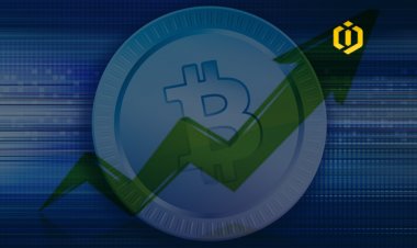 What Are the Reasons for Bitcoin’s Sudden Increase?