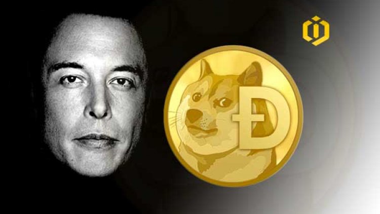 what is elon crypto coin